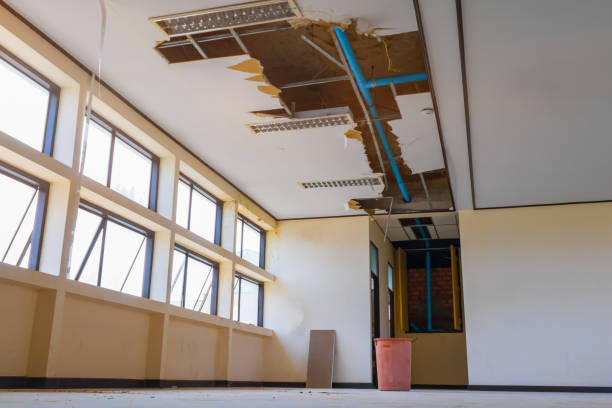 Best Water damage restoration company  in Trinity, FL