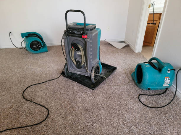 Best Fire Damage Restoration  in Trinity, FL