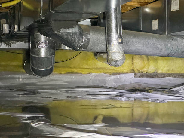 Best Flood damage cleanup  in Trinity, FL