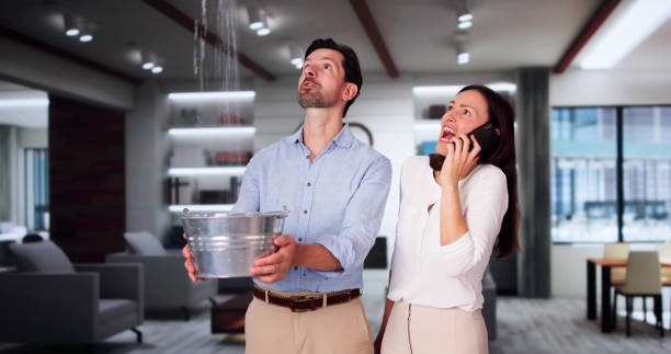 Best Carpet water damage restoration  in Trinity, FL